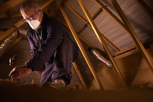 Best Eco-Friendly Insulation in Selah, WA